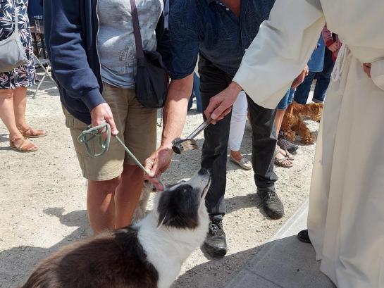 sint-eligius-processie 2 juli 2023